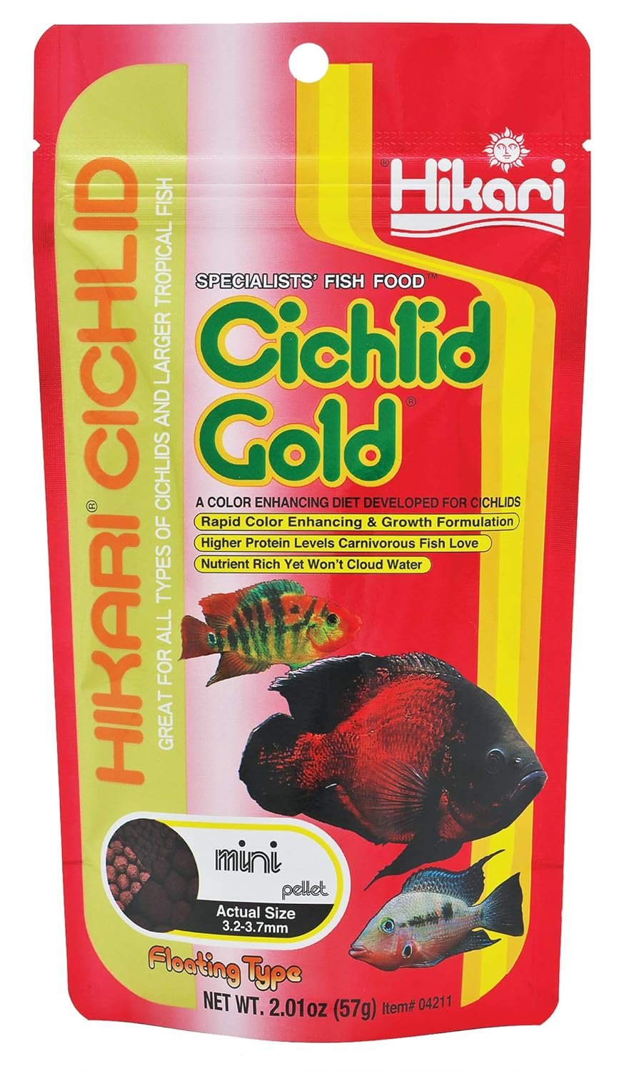 Hikari USA Inc Cichlid Gold 2OZ Mini Pellet, 57 g by Hikari